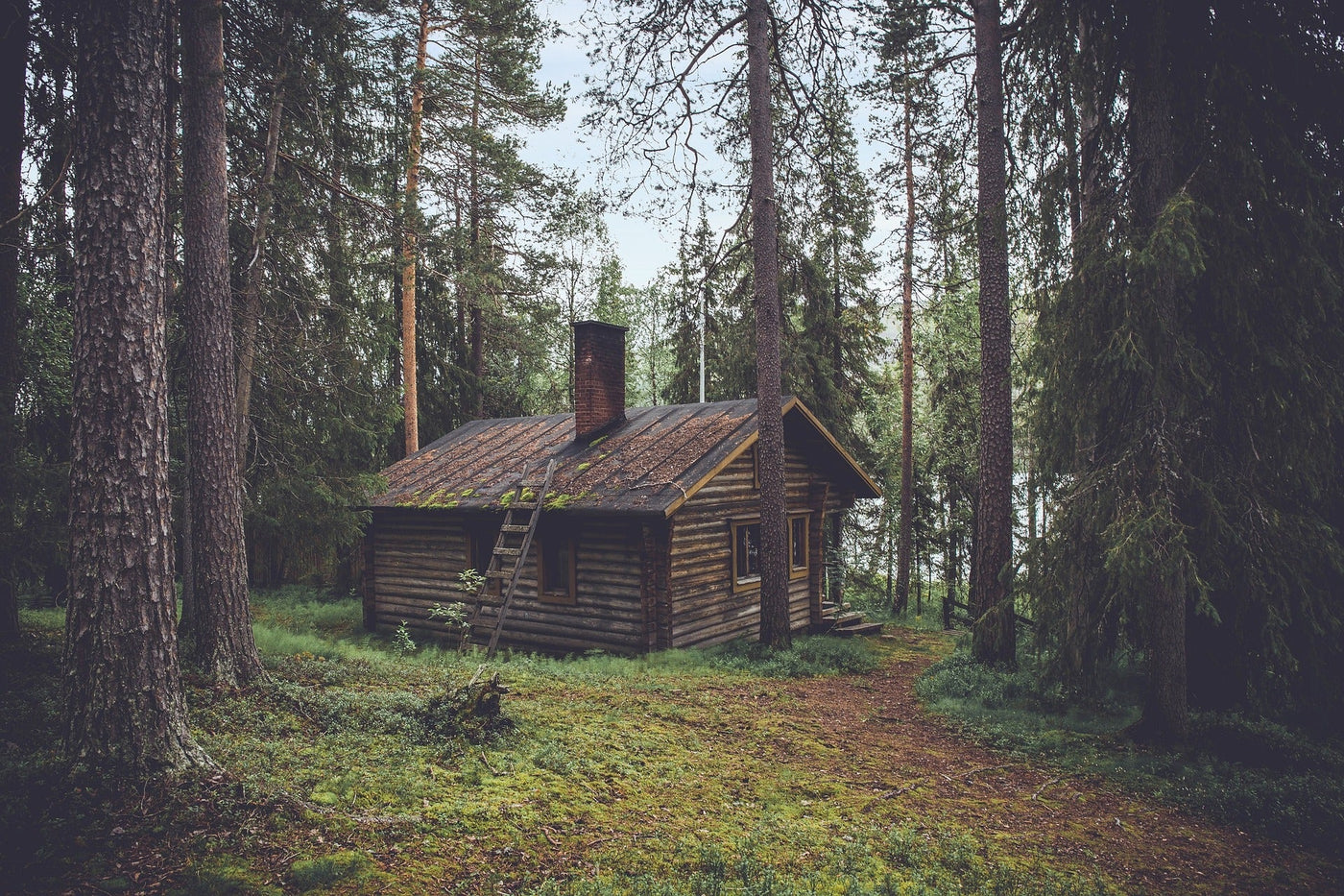 Guest Shed Benefits