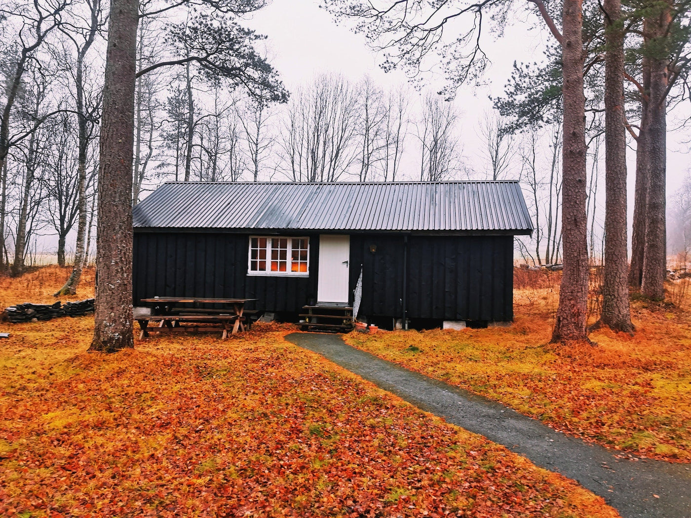 Winterize Your Shed