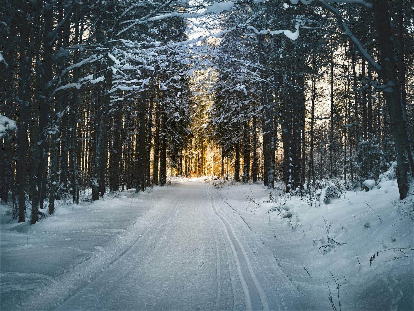 Prepare Your Home for Winter