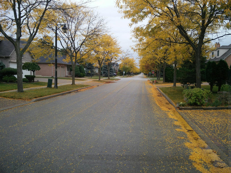 Fall DIY Home Improvement Projects