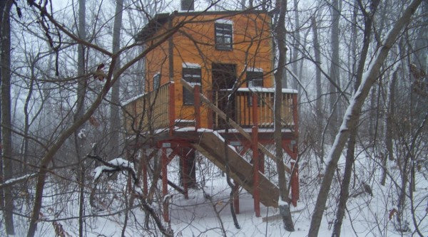Treehouse Tips-How to Choose the Best Tree