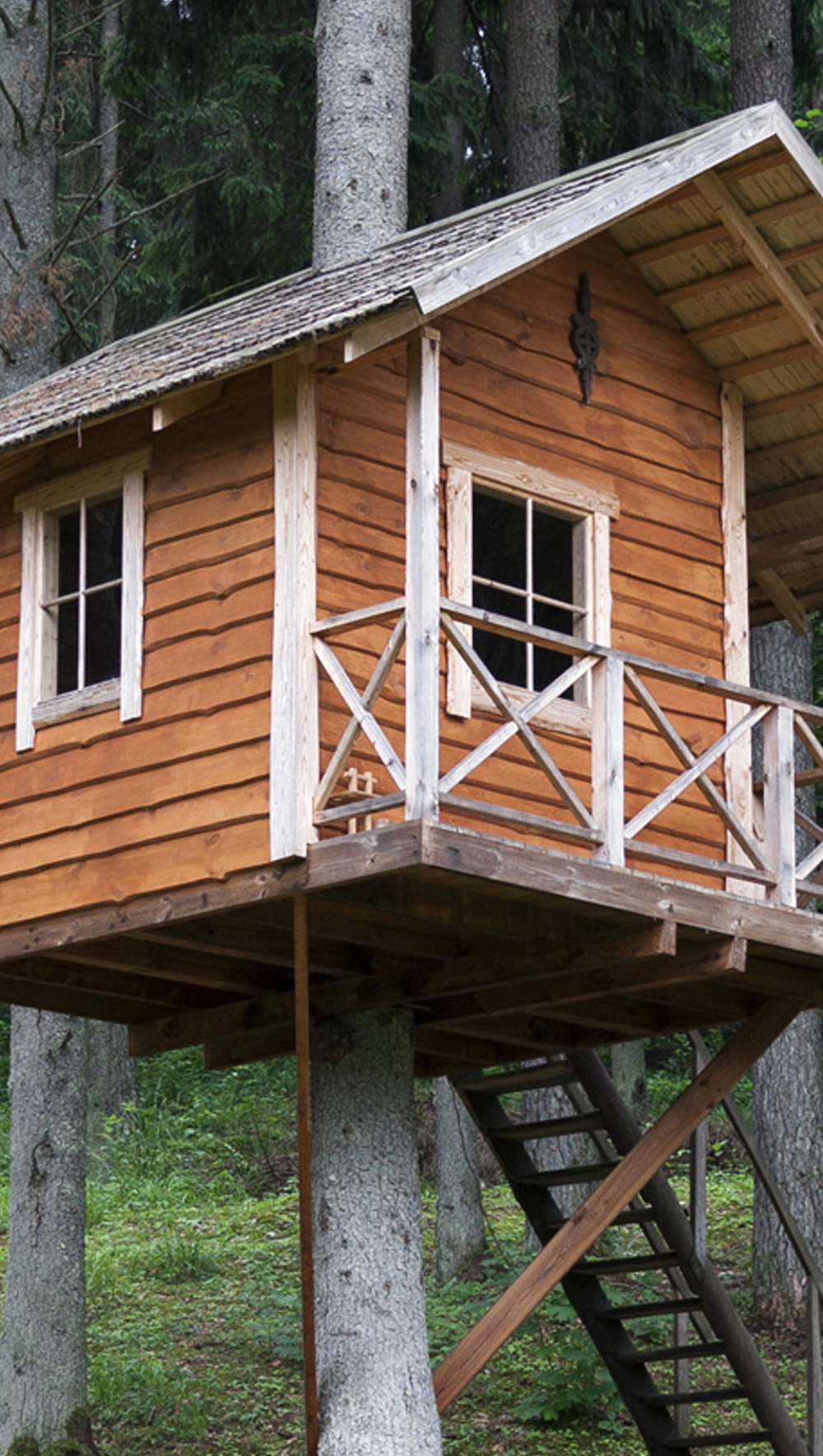 Treehouse Windows