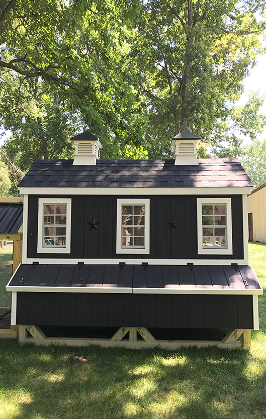Chicken Coop Windows
