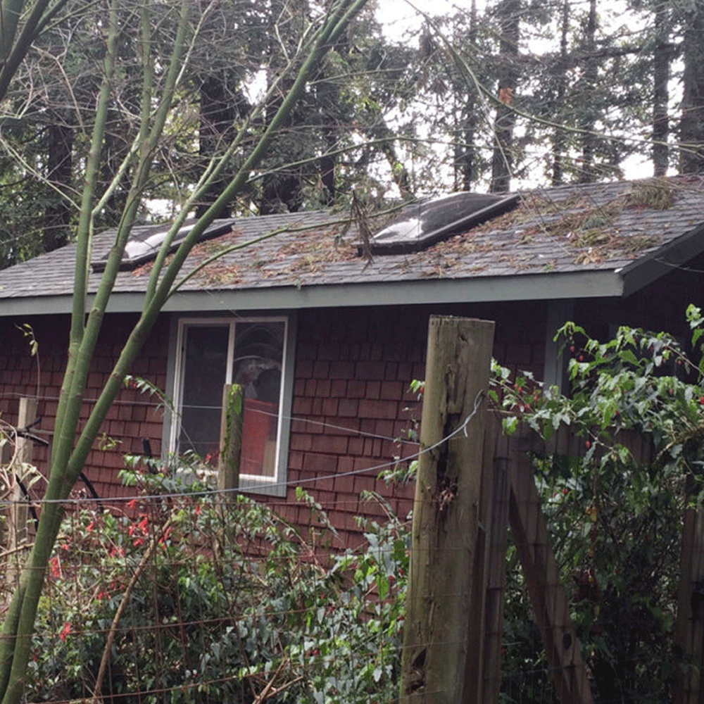 Shed Skylights
