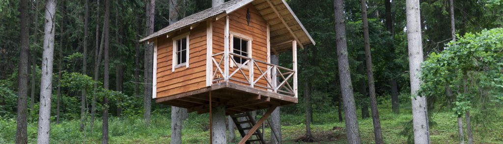 Tree house windows