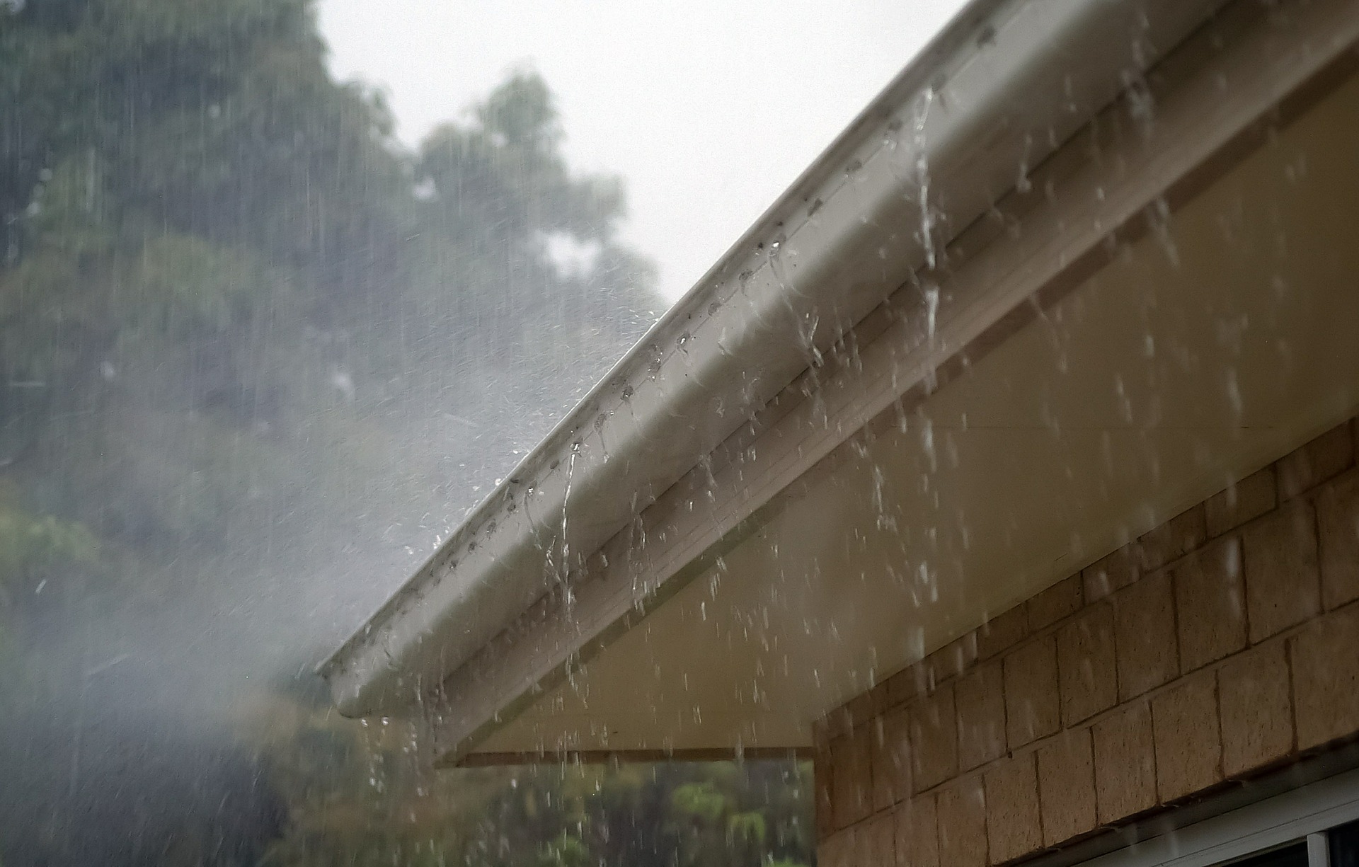 Protecting Your Shed with Gutters