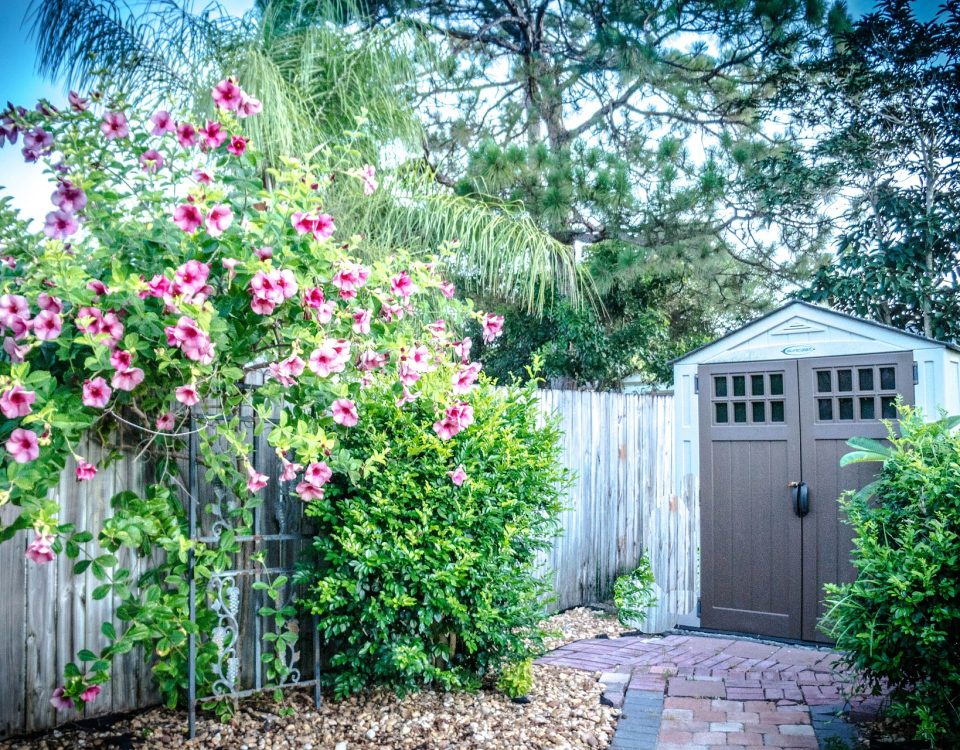 Innovative Shed Shade Ideas