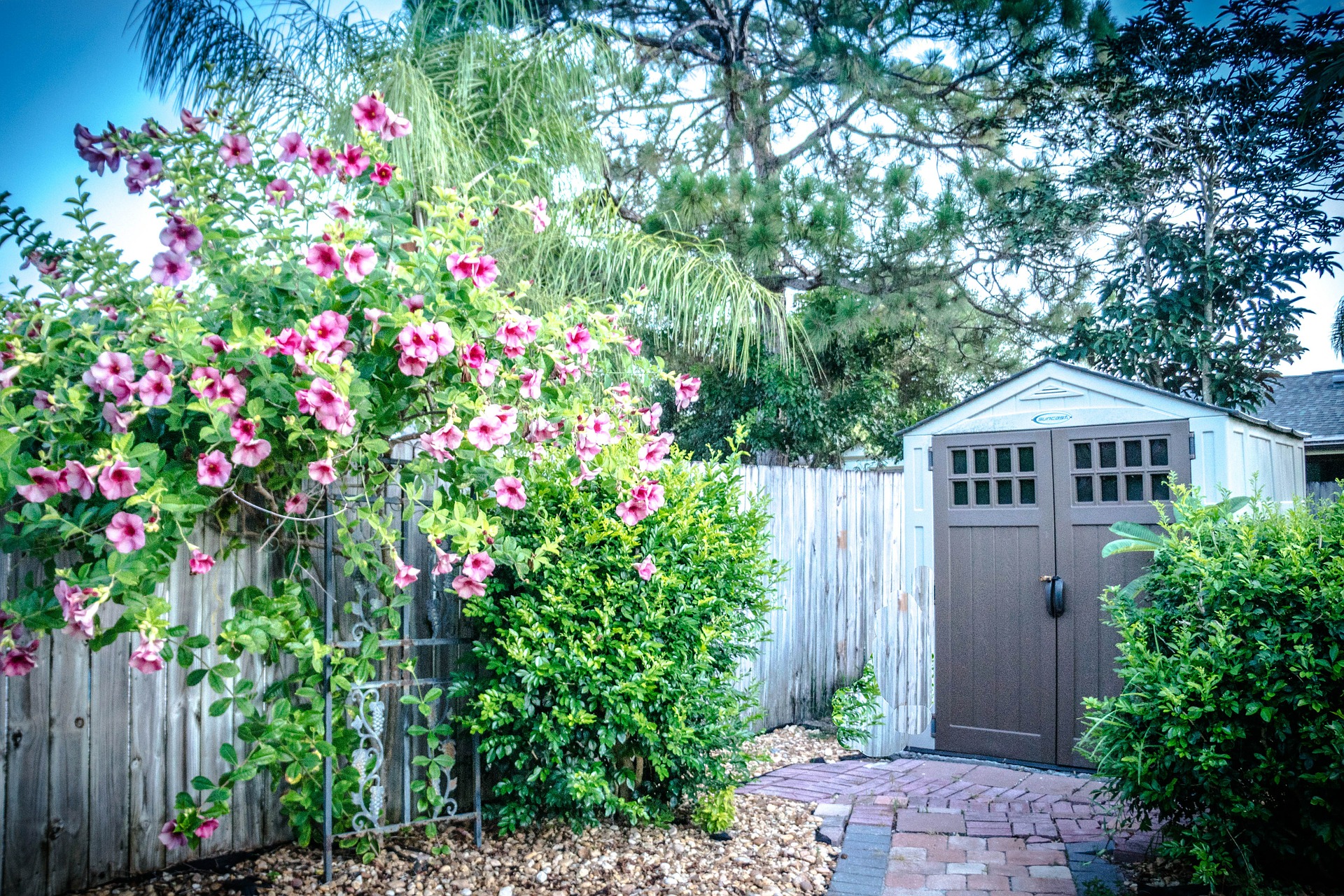 Innovative Shed Shade Ideas