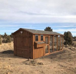 chicken coop windows