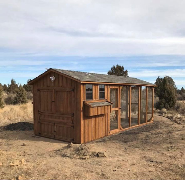 chicken coop windows