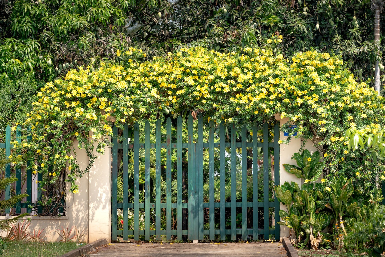 Home Entrance Gate