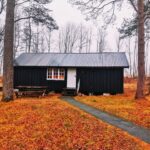 Winterize Your Shed