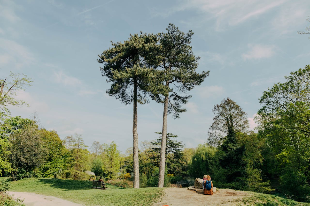 Trees & Health
