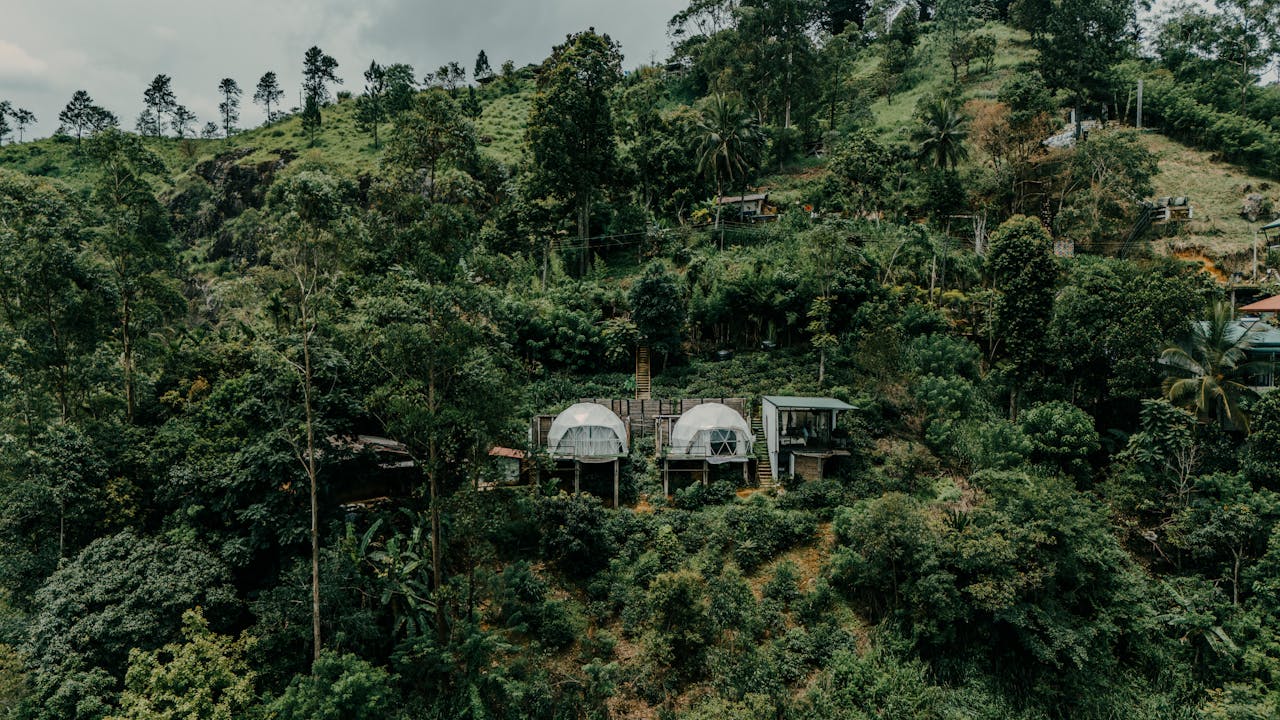 Treehouse