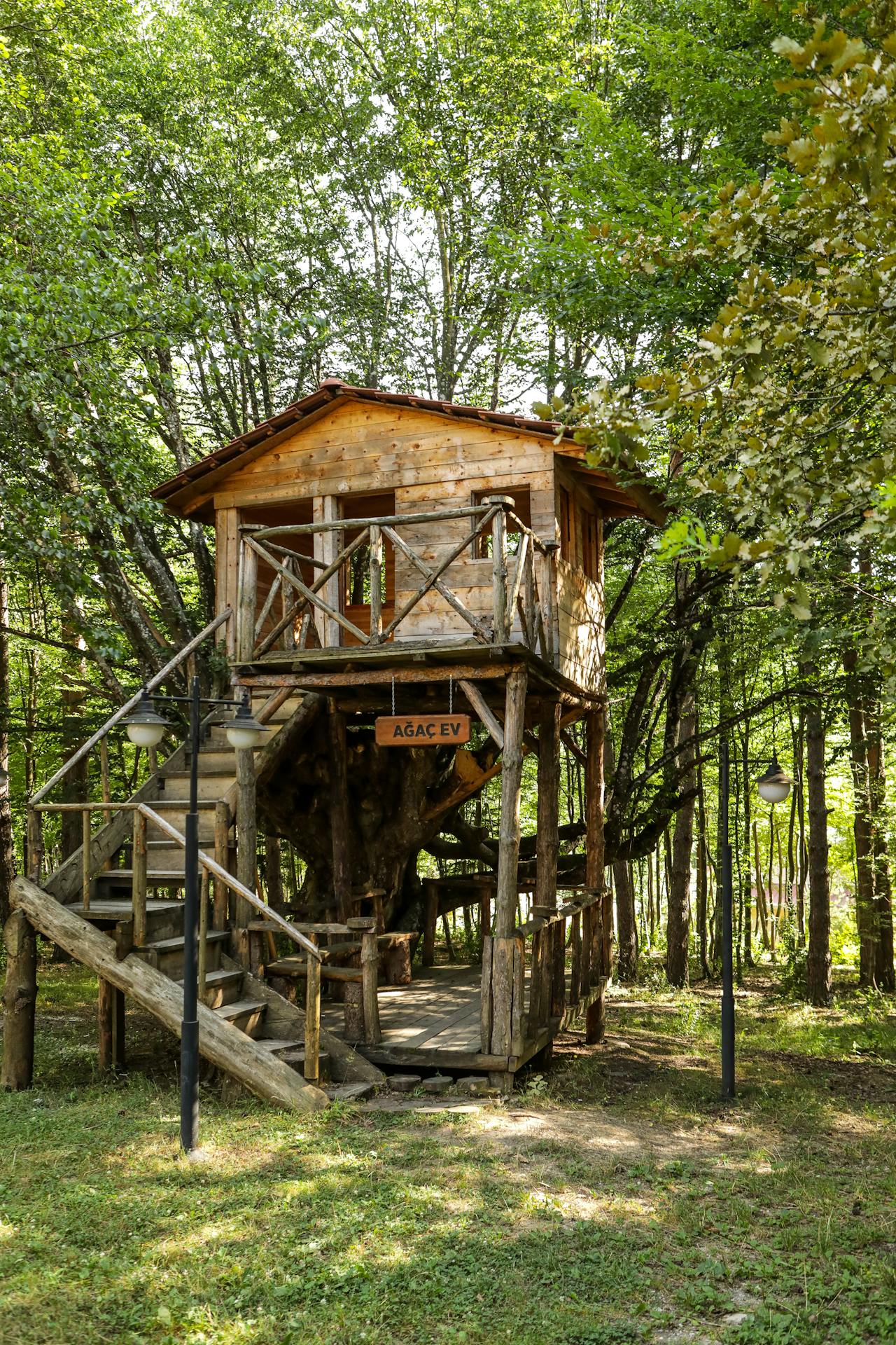 Treehouse