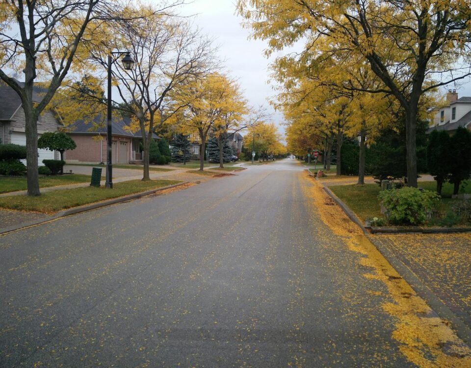 Fall DIY Home Improvement Projects
