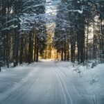 Prepare Your Home for Winter