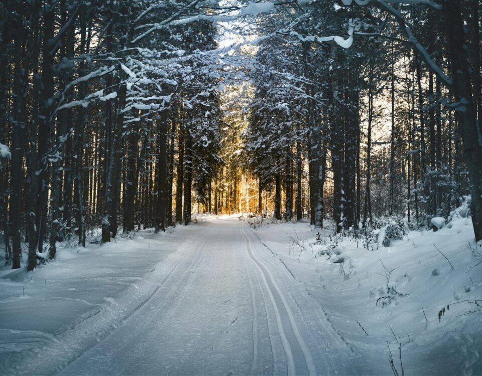 Prepare Your Home for Winter
