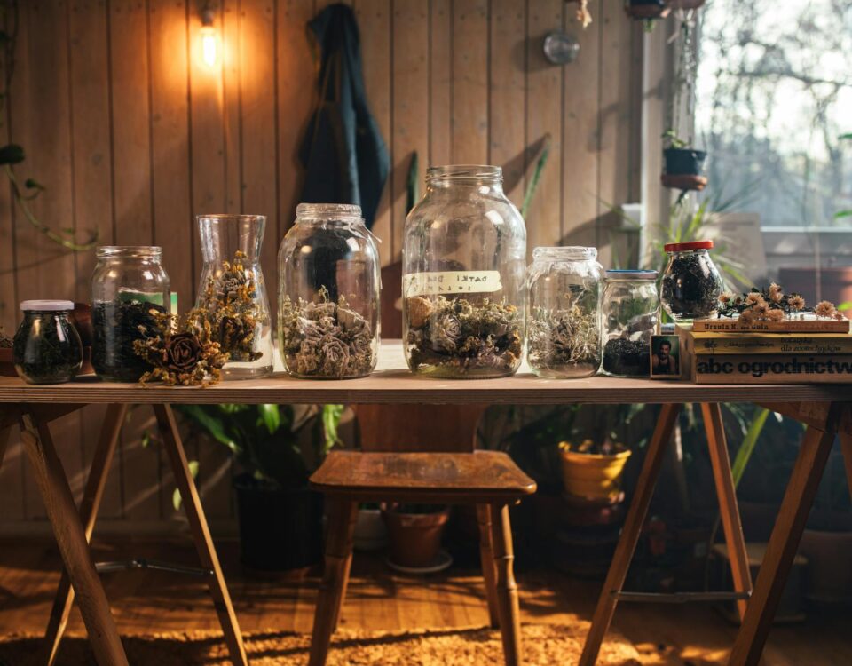 pexels-koolshooters-6627435 | Shed Windows and More for DIY & Builders Pest Control