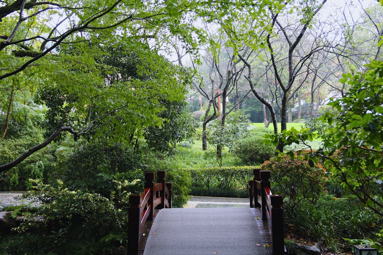 Planning Your Backyard Oasis