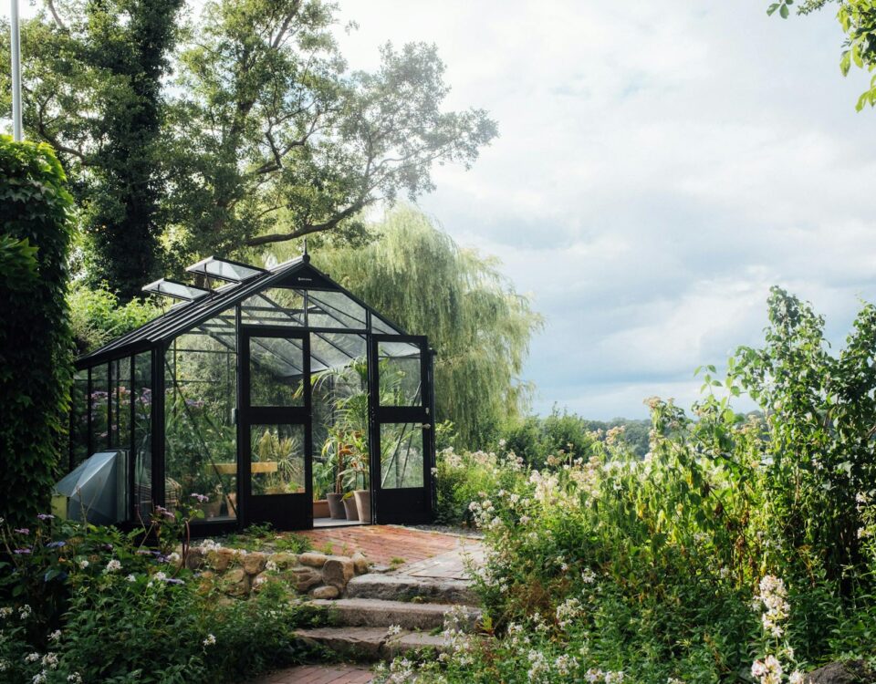 Planning Your Backyard Oasis